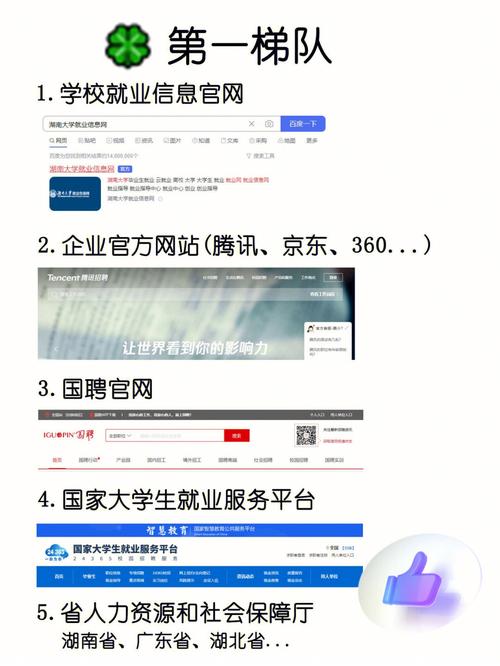 大学生就业在哪里找信息