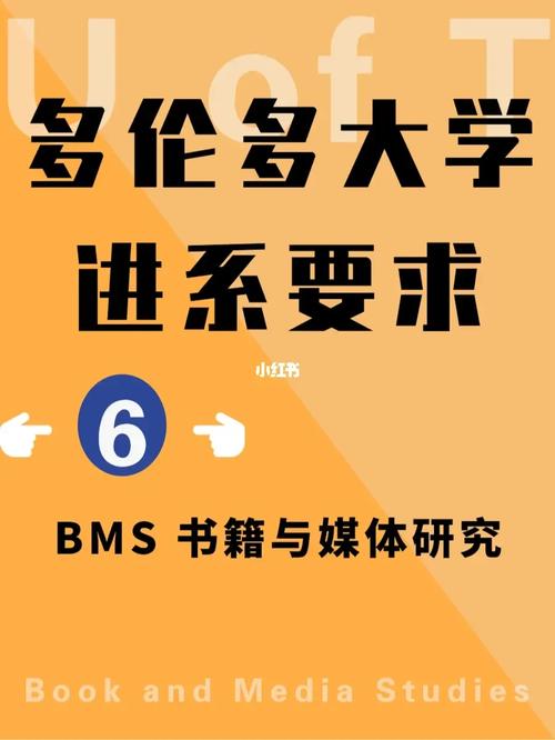 bms哪个大学好