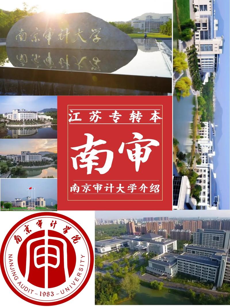 审计学哪个学校