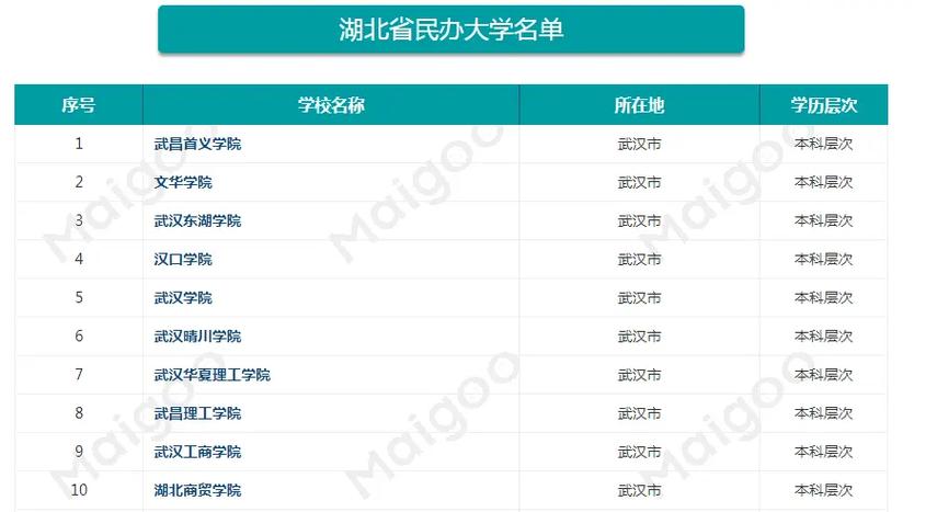 湖北有哪些民办学校