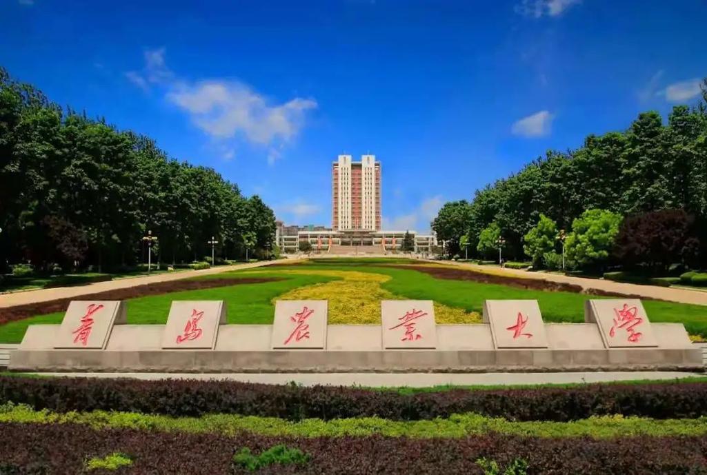 青岛农业大学在哪个省