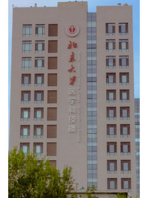 北京大学归哪个部门管