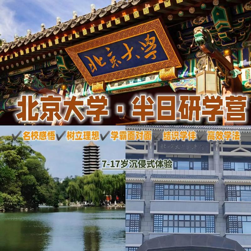 北京大学共多少学生