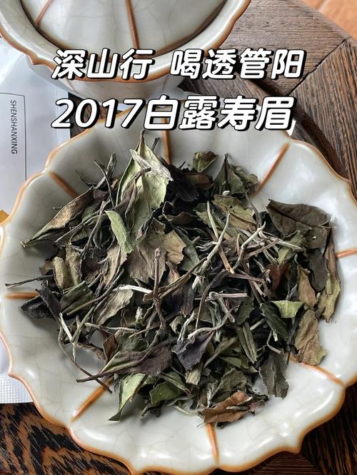 桑落老酒多少钱