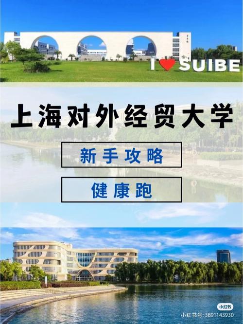 外经贸大学在哪个区