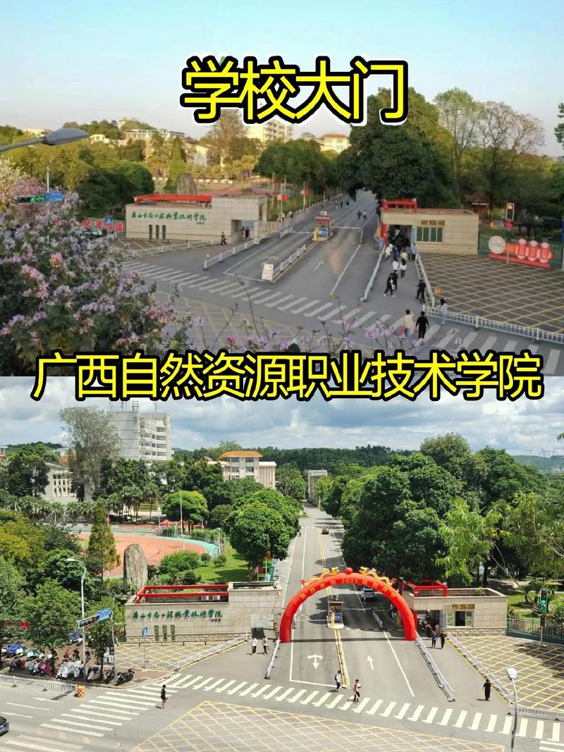 国土局是读哪个学校