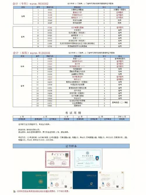 西财自考论文费用多少