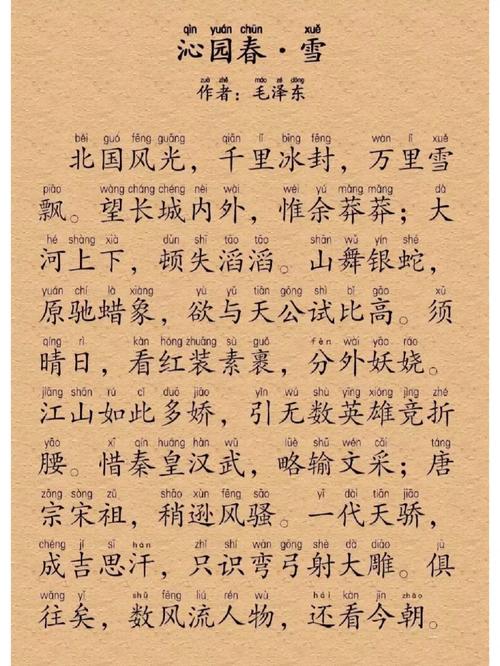 沁园春 多少闲情翻译