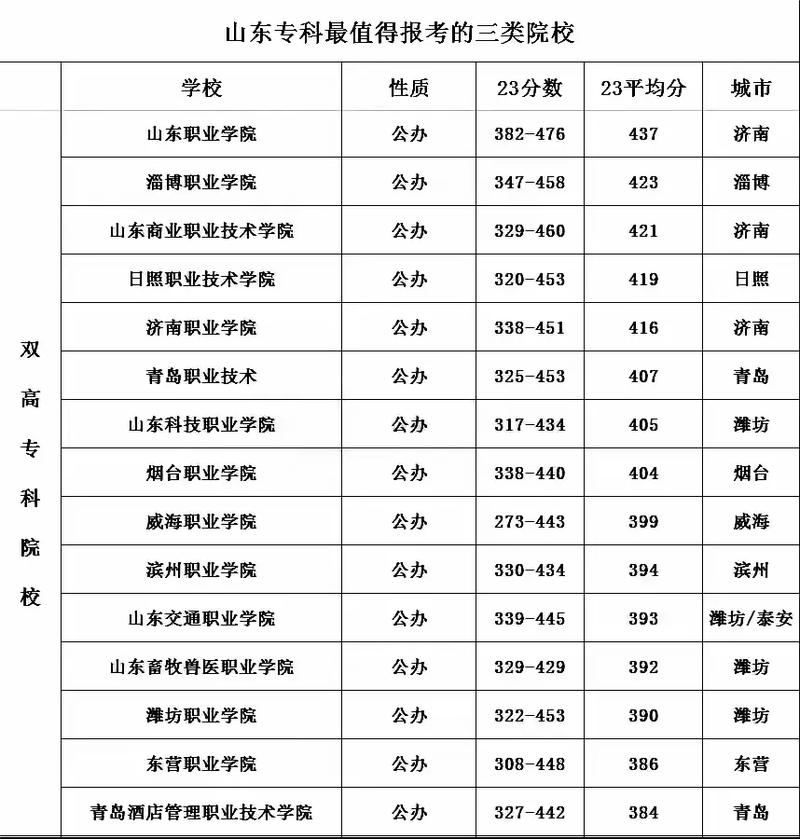 山东哪个专科大学是民办的