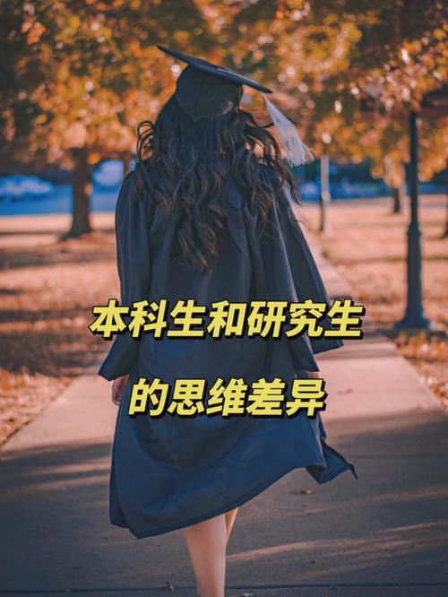 本科与研究生哪个累