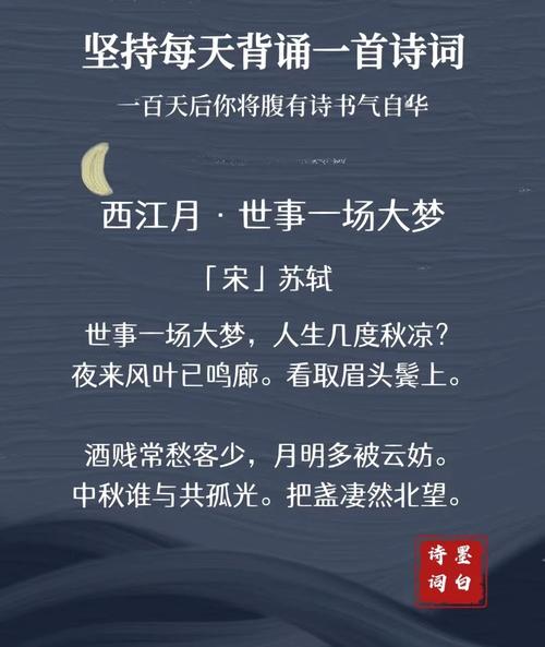 苏轼的西江月有多少