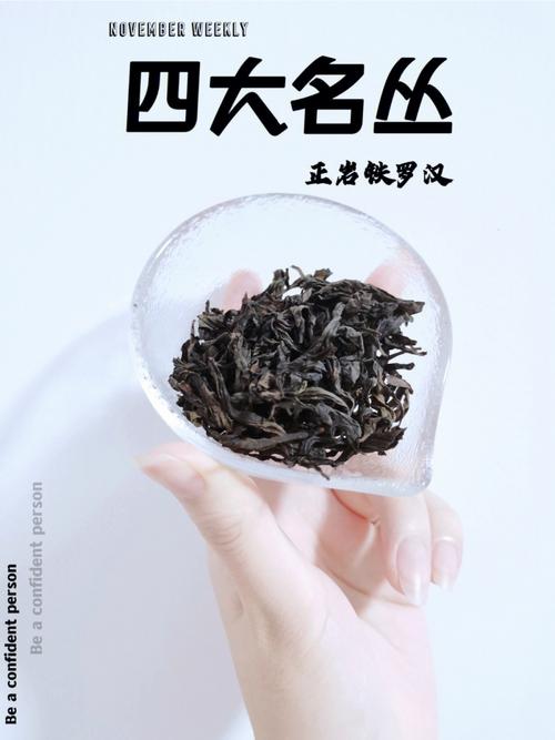 张开一丛名有多少个