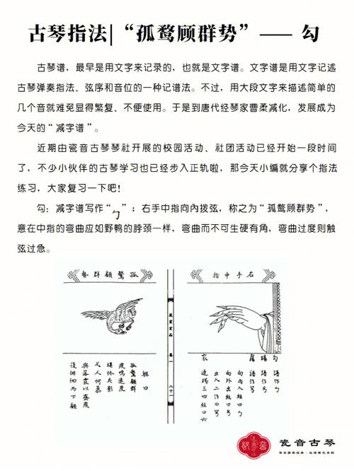 啼破黄叶的数字是多少