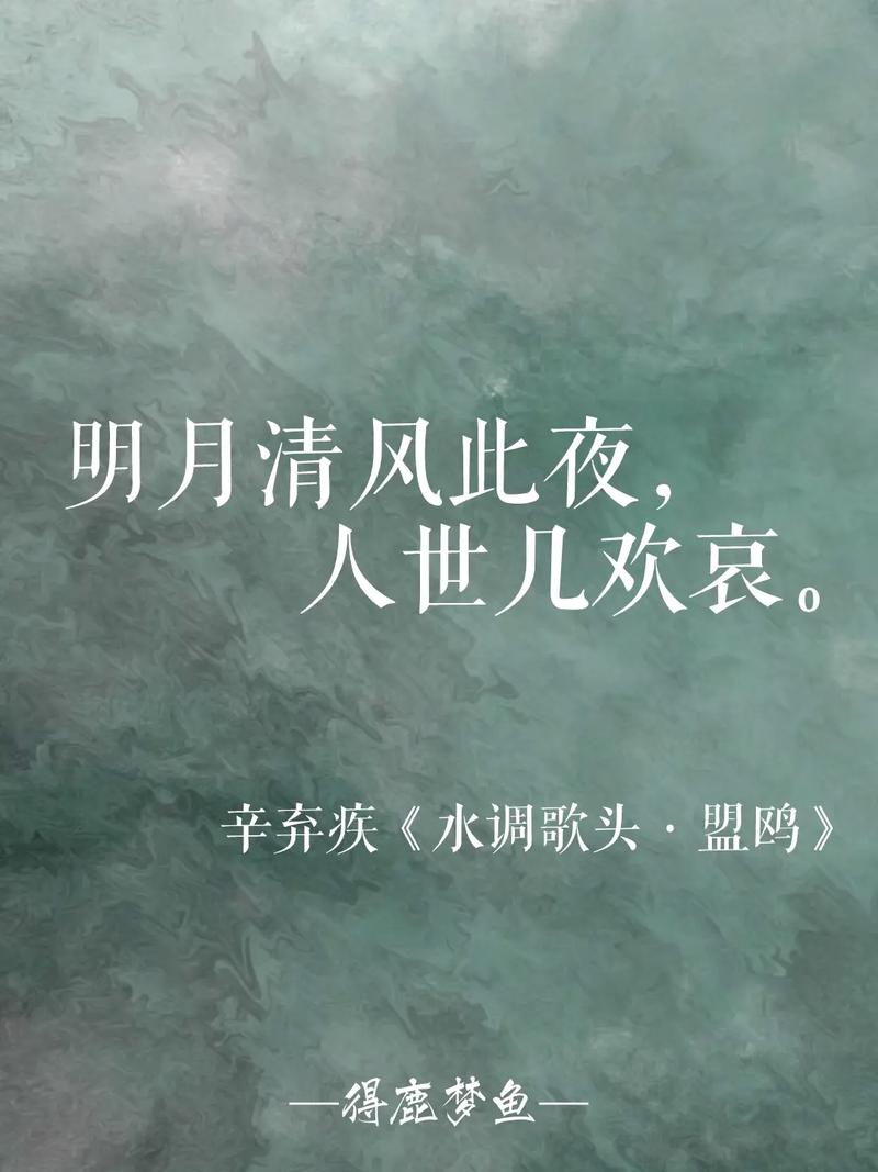 水调歌头带湖吾甚爱多少字