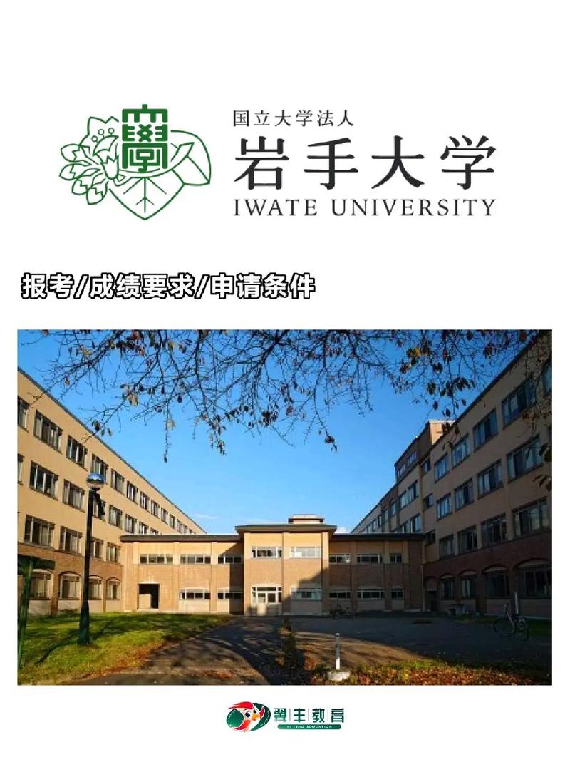 岩手大学多少分能进