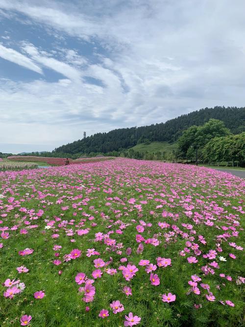 余杭花千里门票多少