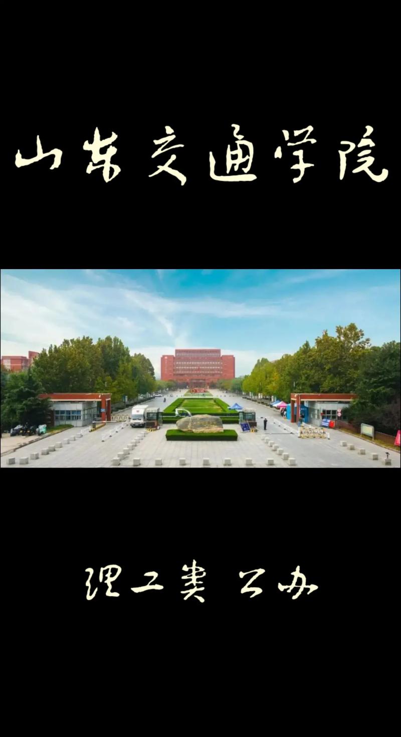 交通山东大学哪个学院