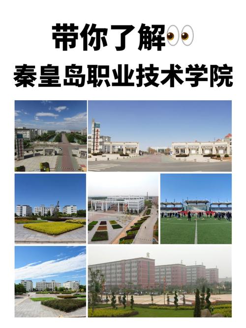 秦皇岛技术学院在哪个城市