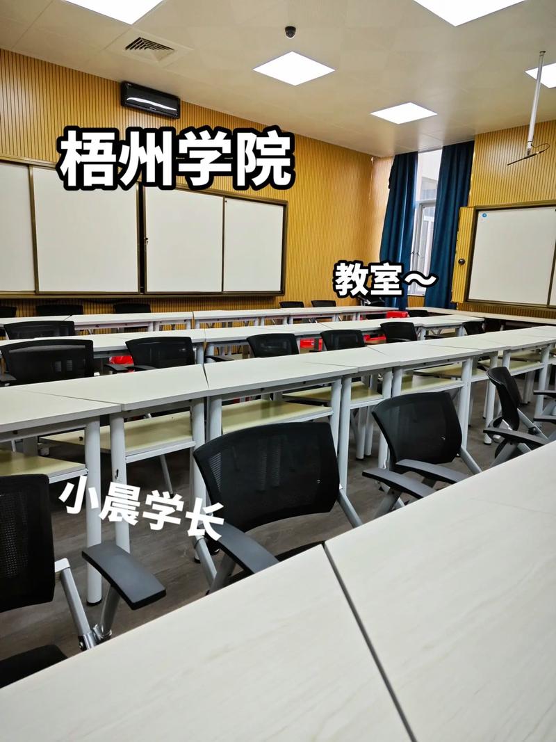 百色学院和梧州学院哪个好