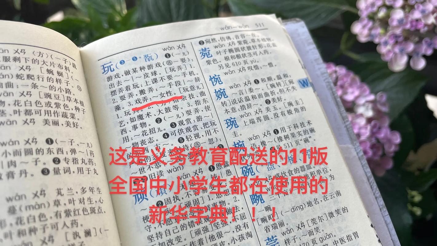 馁字典多少页