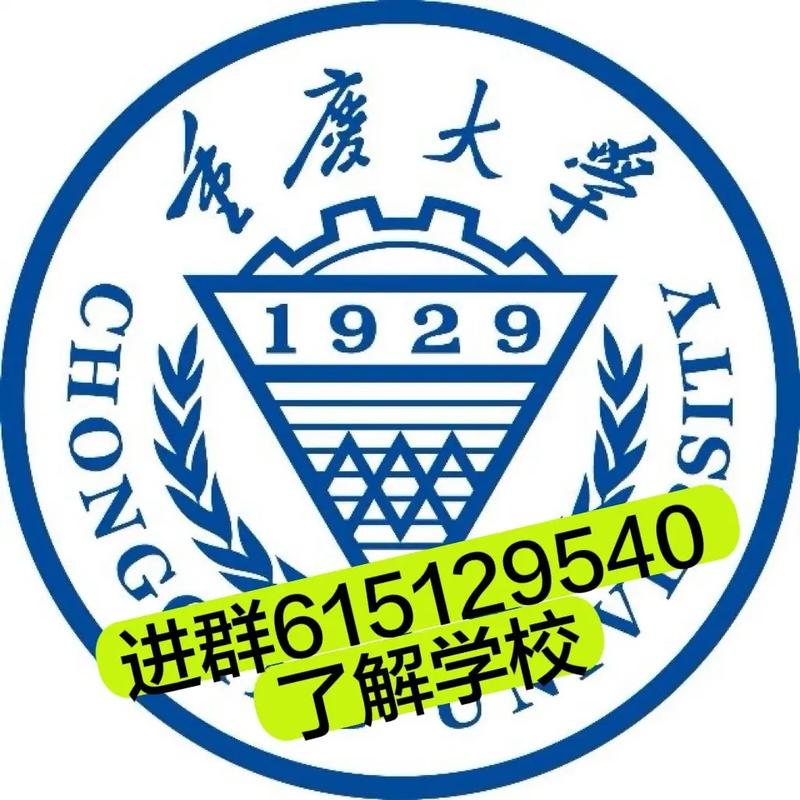 重庆大学生在哪个区