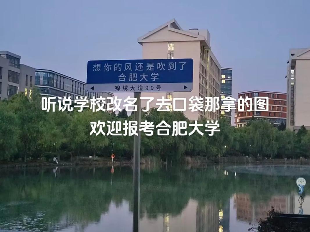 合肥有多少大学