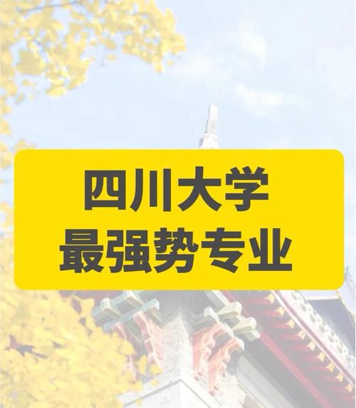 四川大学哪个系前景好