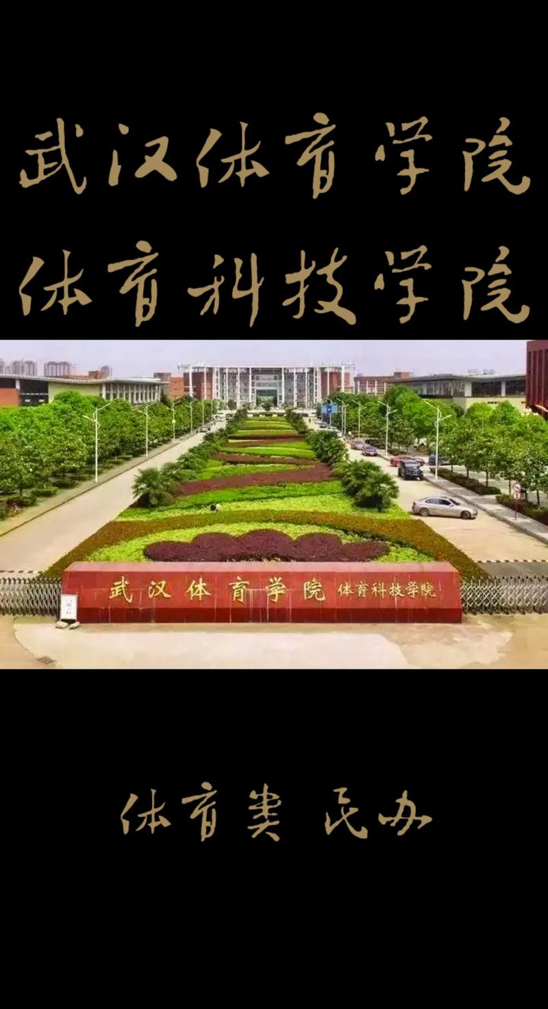 武汉体育学院科技学院在哪个区