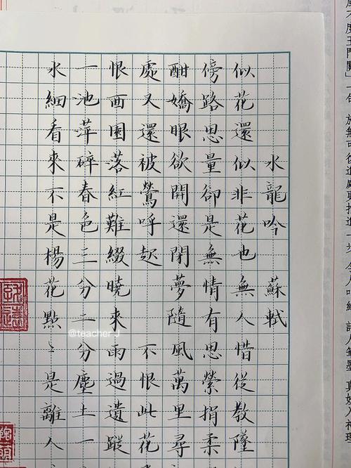 水龙吟正文多少字