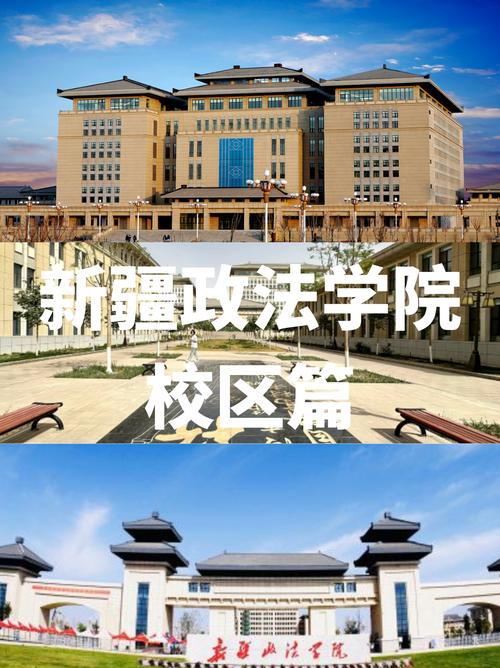 新疆哪个大学法律系好