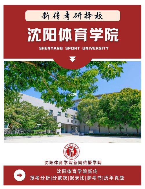 沈阳大学体育系在哪个院