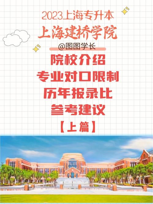 上海建桥学院哪个专业好