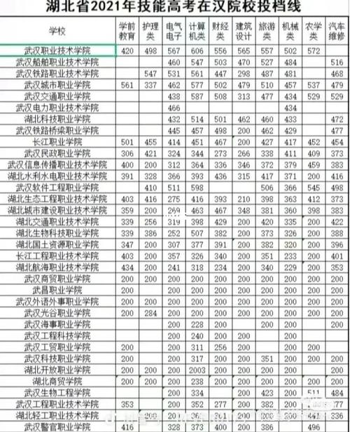 武汉职业学校哪个专业好