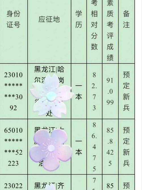 2016招女兵的名额多少