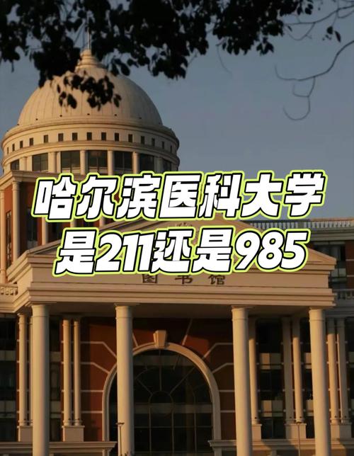 211和医大二哪个医院好