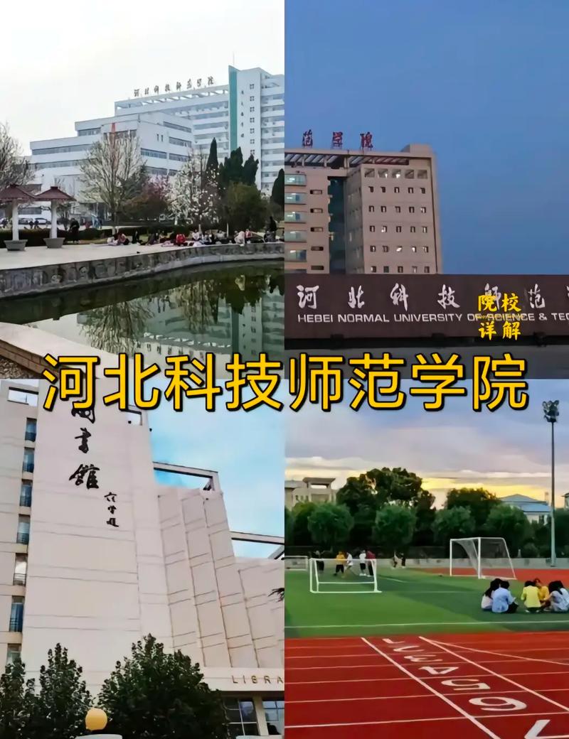 河北本二师范哪个学校好点