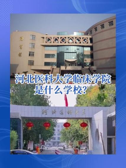 河北临床大学是哪个大学