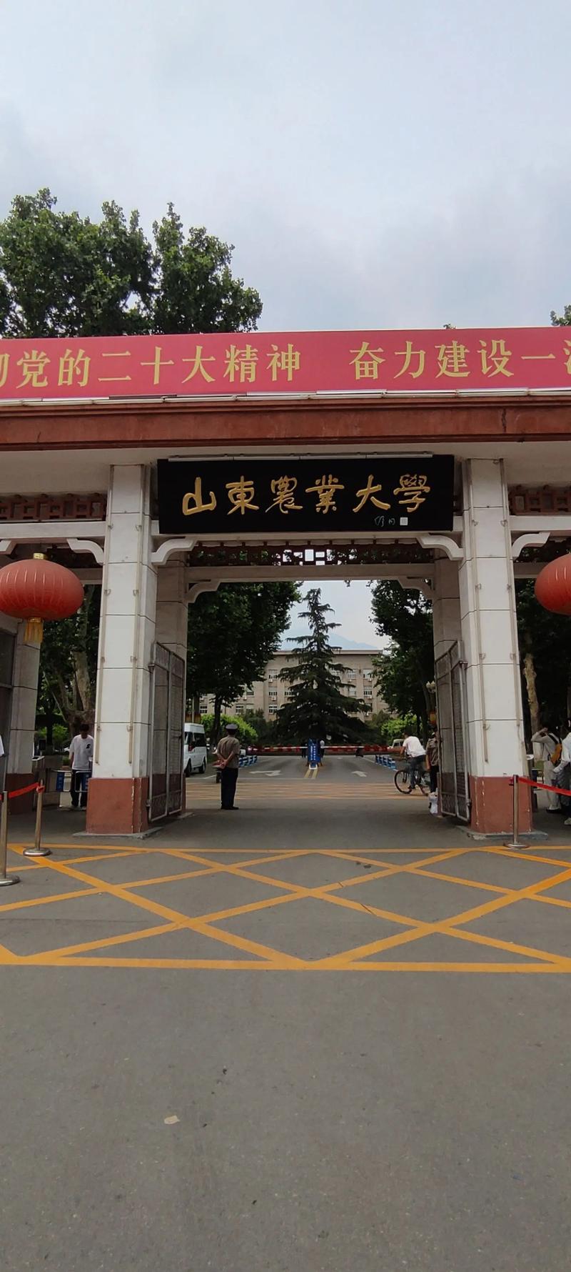 山东农业大学在哪个市