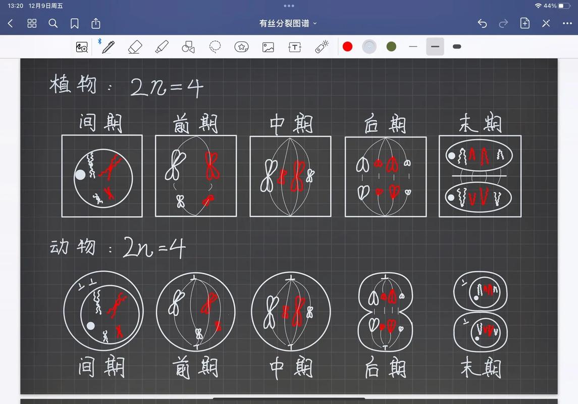 有丝多少什么意思