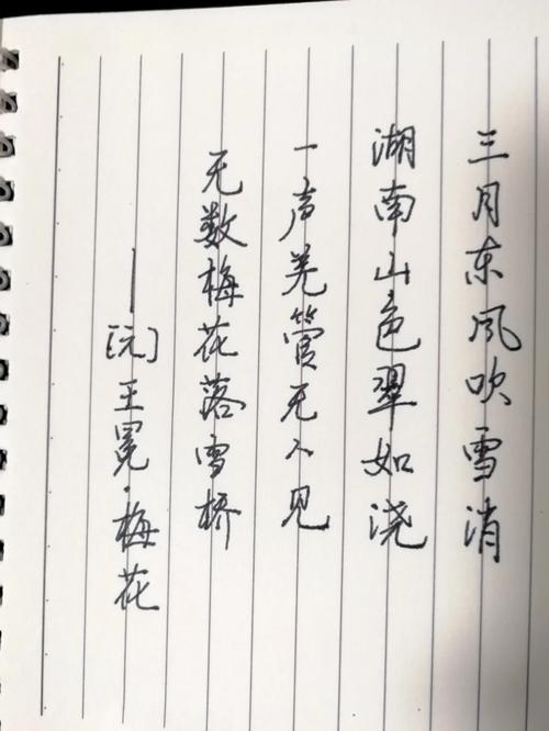 王冕的素梅一共有多少首