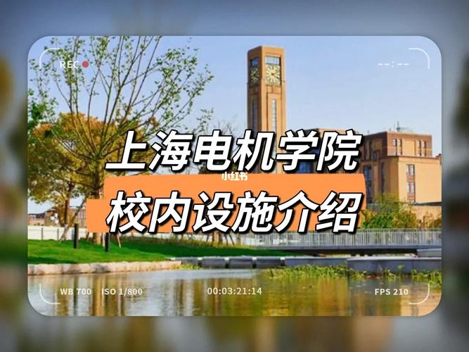 电机学院总共多少学生