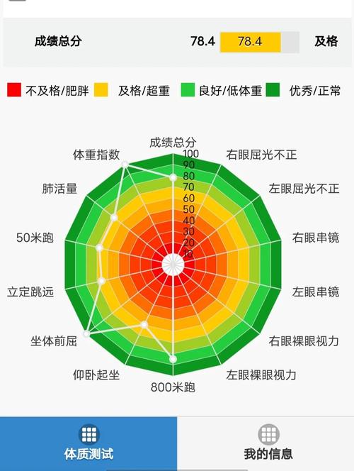 暨大体测多少分过