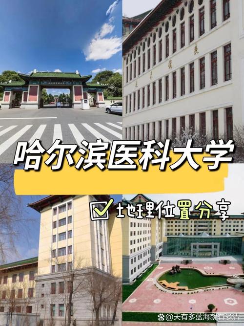 医科大学哪个区