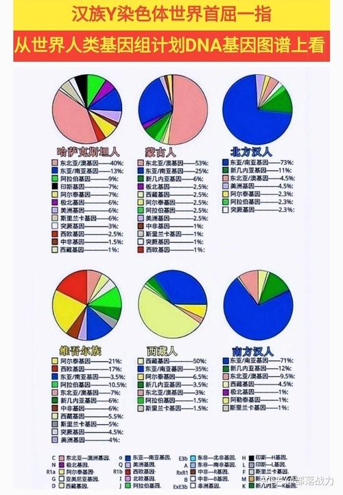 轮台有多少汉族人