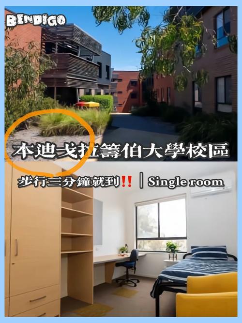 拉筹伯大学在哪个城市