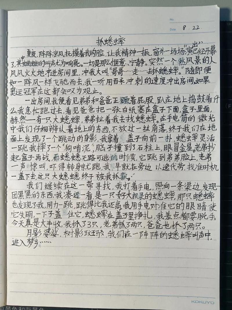 雨后有多少个字