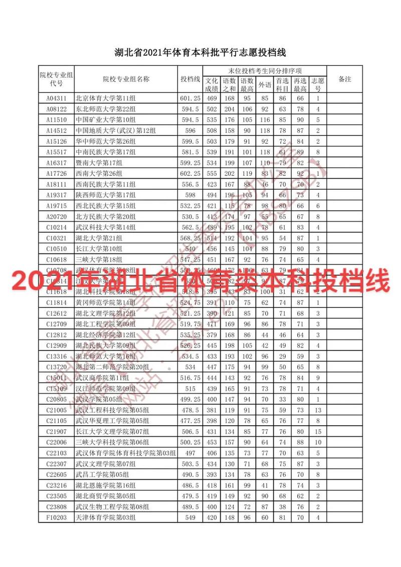 湖北有多少体育生