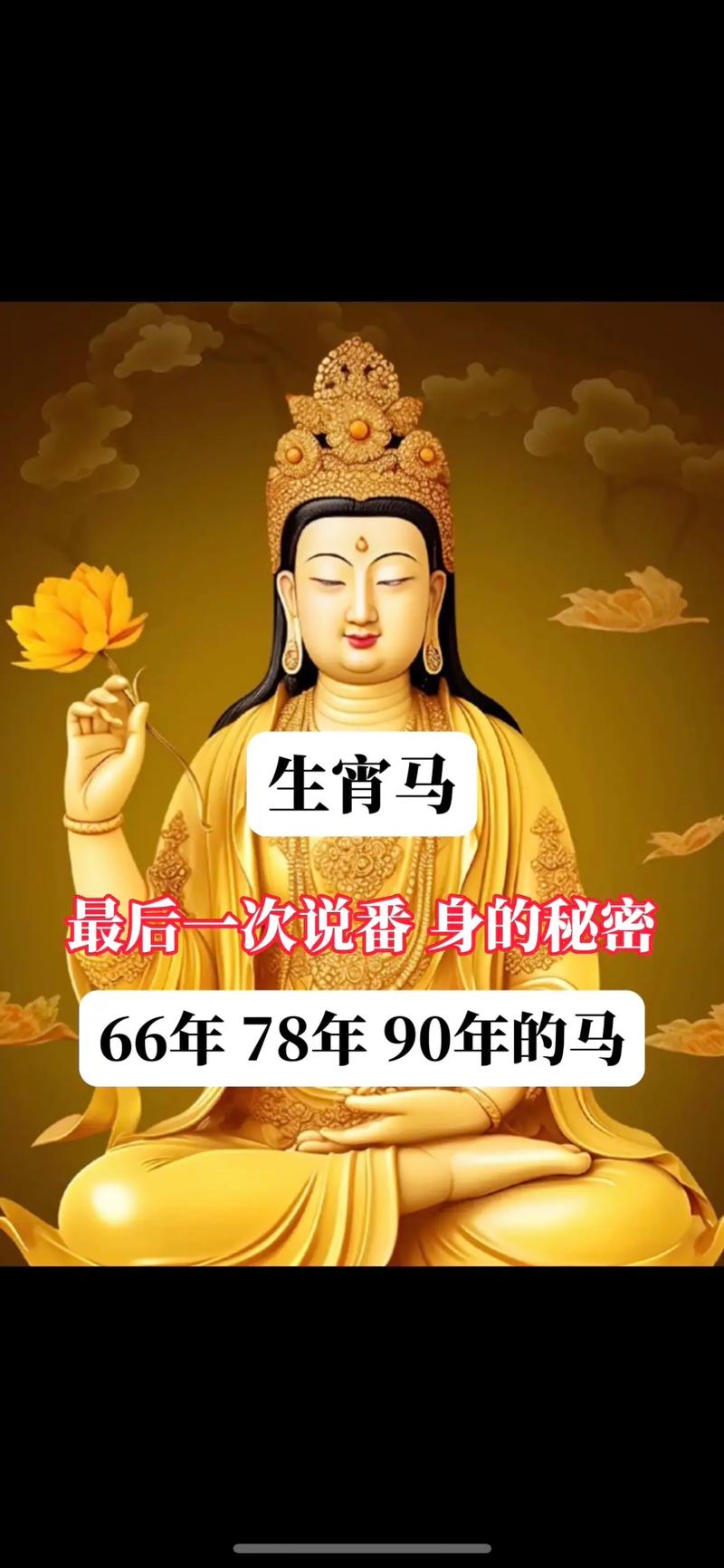 十年马足行多少?