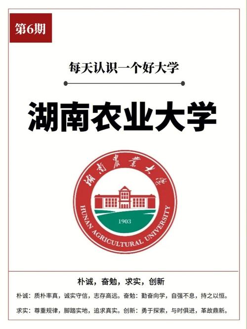 湖南农业大学哪个院最好