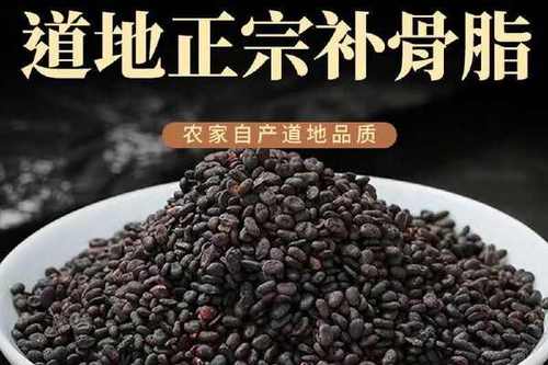 补骨脂价格一斤多少钱